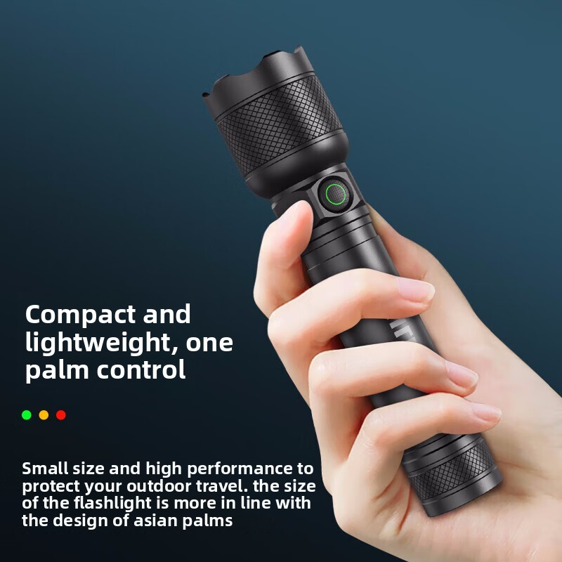 2025 NEW Philips SFL2188 LED A - đánh giá và giá Outdoor Lighting Ideas