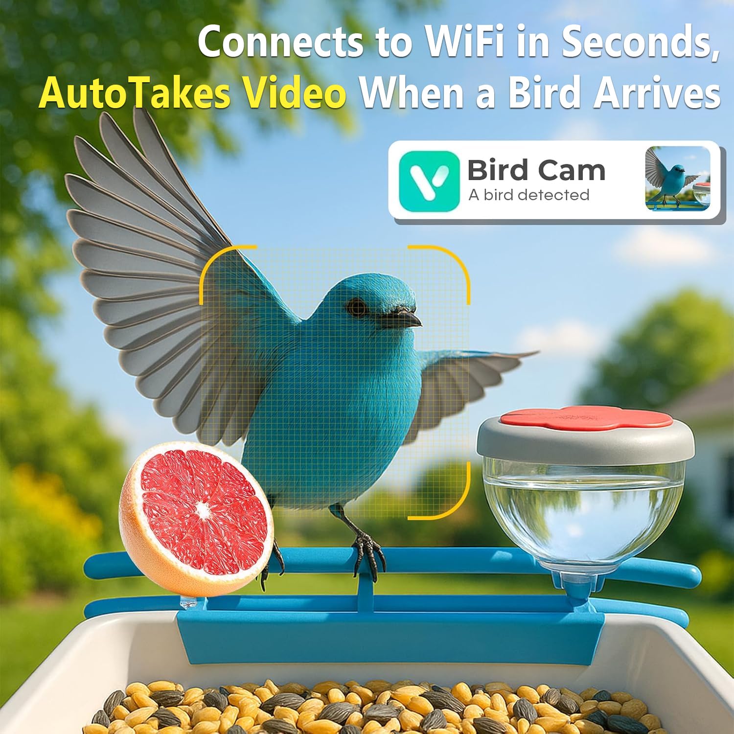 Smart Bird Feeder Camera 2K Li - đánh giá và giá Motion Sensor Outdoor
