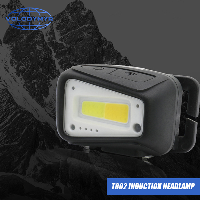 VOLODYMYR Waterproof COB LED H - đánh giá và giá Motion Sensor Outdoor