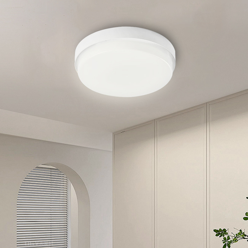 Modern IP65 Waterproof Ceiling - đánh giá và giá Outdoor Lighting Year Round