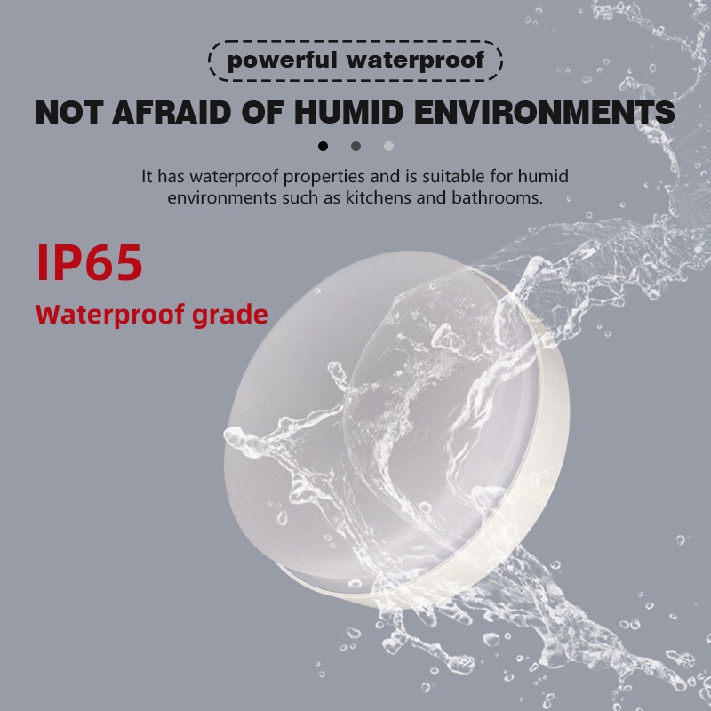 Modern IP65 Waterproof Ceiling - đánh giá và giá Outdoor Lighting Year Round